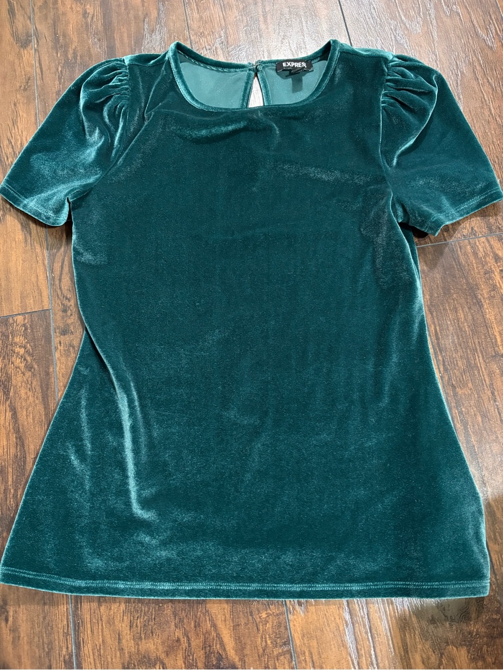 EXPRESS Women's Short Sleeve Velvet Top in Deep Green